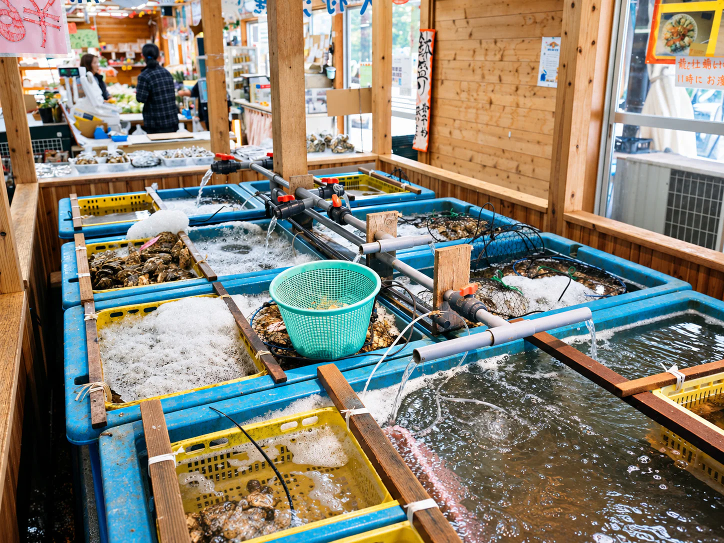 排列著活魚水槽的鮮魚市場
